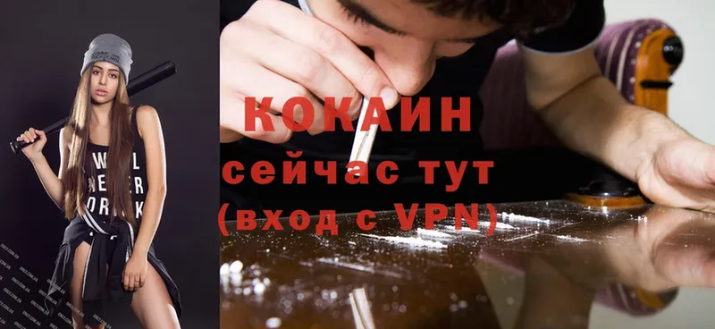 где купить   omg как зайти  Кокаин VHQ  Ковдор 