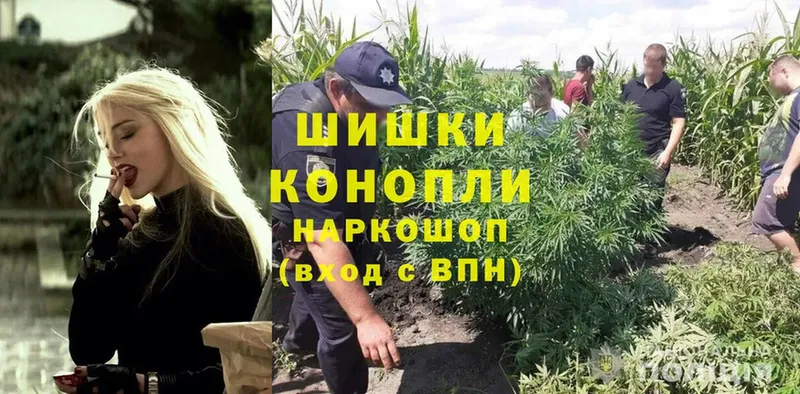 гидра ONION  где можно купить наркотик  Ковдор  Бошки Шишки OG Kush 